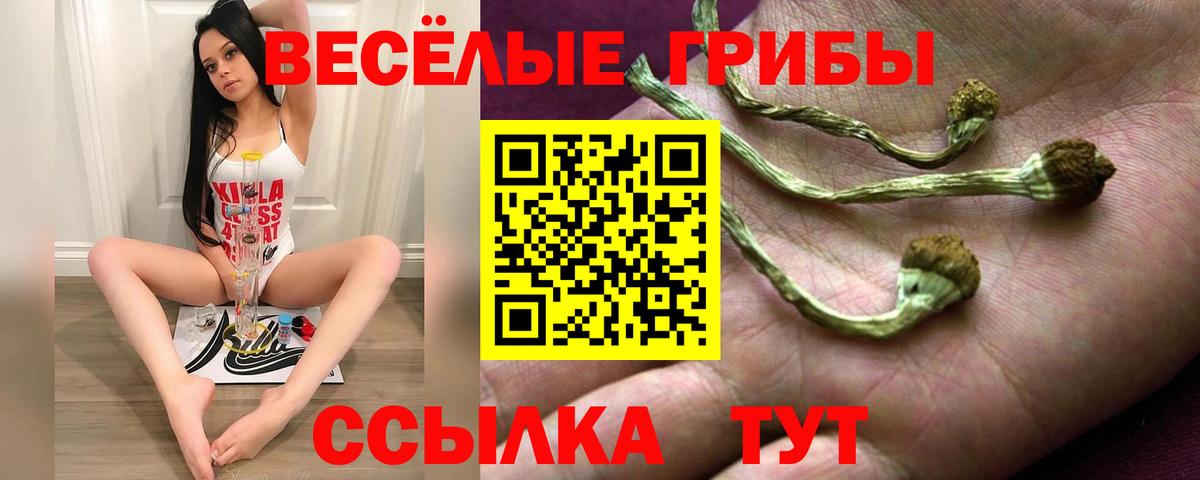 Галлюциногенные грибы мухоморы  Галлюциногенные грибы ЛСД  Мирный  Вход с VPN 